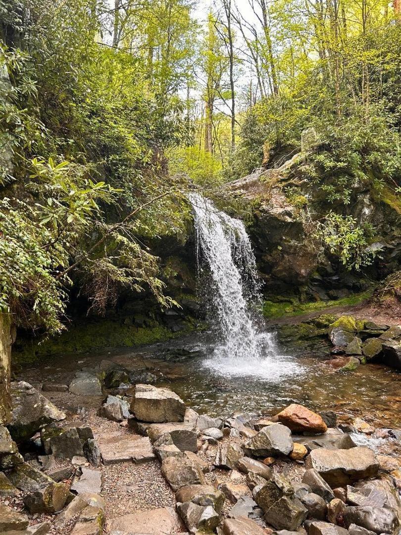 فيلا On Dolly Time 1 Mile From Dollywood بيدجن فورج المظهر الخارجي الصورة